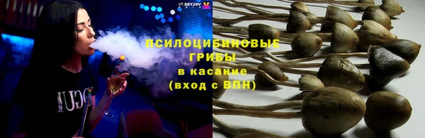 винт Кодинск